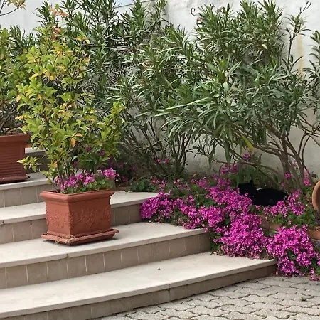 Bianco サン・ジョバンニ・ロトンド