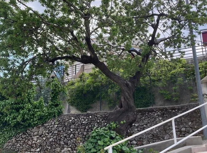 Bianco * San Giovanni Rotondo