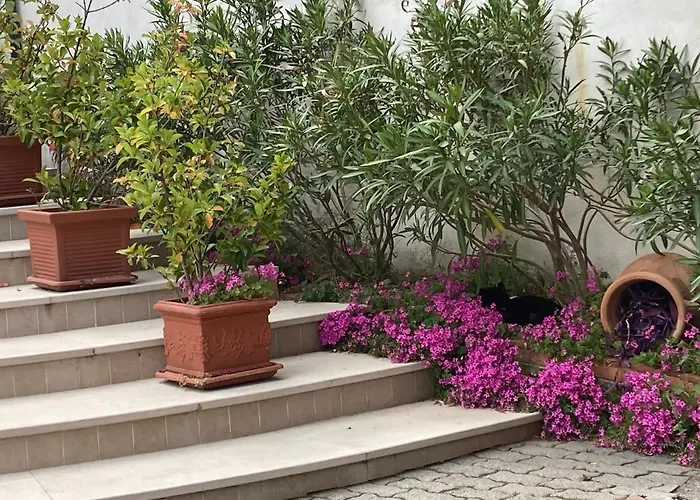 Bianco サン・ジョバンニ・ロトンド